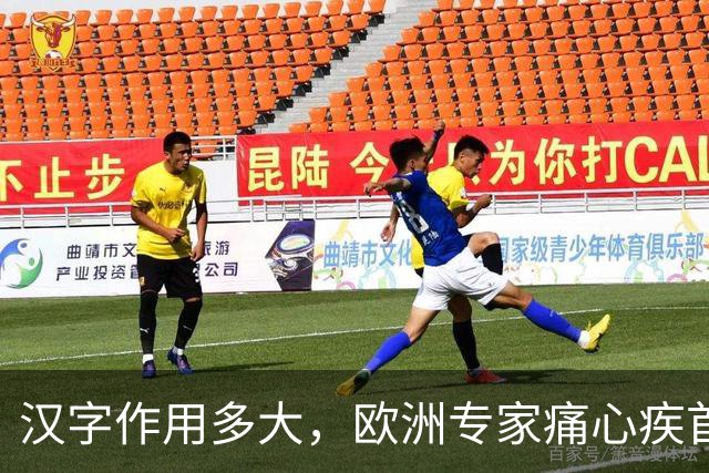 汉字作用多大，欧洲专家痛心疾首：若有汉字，欧洲或早已统一